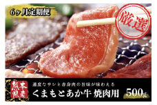 【6ヶ月定期便】ＧＩ認証取得 くまもとあか牛（焼肉用500g） 定期便 6ヶ月 熊本県産 あか牛 焼肉用 500g 6回 くまもとあか牛 GI認証取得 和牛 国産牛 肉 牛 焼肉 赤身 バーベキュー ギフト 贈答用 熊本 阿蘇 南小国町 送料無料