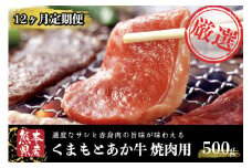 【12ヶ月定期便】ＧＩ認証取得 くまもとあか牛（焼肉用500g） 定期便 12ヶ月 熊本県産 あか牛 焼肉用 500g 12回 1年 くまもとあか牛 GI認証取得 和牛 国産牛 肉 牛 焼肉 赤身 バーベキュー ギフト 贈答用 熊本 阿蘇 南小国町 送料無料