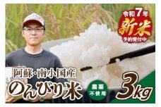 【予約受付】令和７年産・新米 のんびり米 ３kg　令和7年産 南小国産 新米 米 白米 玄米 玄米対応可能 ご飯 ごはん お米 無農薬 農薬不使用 産地直送 熊本 阿蘇 南小国町 送料無料