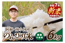 【予約受付】令和７年産・新米 のんびり米 ６kg　令和7年産 南小国産 新米 米 白米 玄米 玄米対応可能 ご飯 ごはん お米 無農薬 農薬不使用 産地直送 熊本 阿蘇 南小国町 送料無料