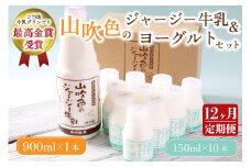 【ふるさと納税】 12ヶ月 定期便 黒川温泉 山吹色のジャージー牛乳 飲むヨーグルト 2種 12回 1年 ジャージー牛乳 900ml のむヨーグルト 150ml 詰め合わせ セット 乳製品 ギフト 贈答用 山のいぶき 熊本 阿蘇 南小国町 送料無料