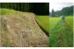 田圃の畔（あぜ）周辺が草で覆われ、大雨等で崩れたりしない様、定期的な除草（草刈り）を行います。草と人間との競争です(笑)