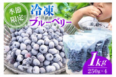 【季節限定】農薬・化学肥料不使用！愛情と栄養たっぷり冷凍ブルーベリー（1kg） 南小国産 冷凍 ブルーベリー 1kg 摘み立て 生 果物 新鮮 フレッシュ 小分け 農薬不使用 化学肥料不使用 産地直送 熊本 阿蘇 南小国町 送料無料