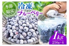 【季節限定】農薬・化学肥料不使用！愛情と栄養たっぷり冷凍ブルーベリー（1kg） 南小国産 冷凍 ブルーベリー 1kg 摘み立て 生 果物 新鮮 フレッシュ 小分け 農薬不使用 化学肥料不使用 産地直送 熊本 阿蘇 南小国町 送料無料
