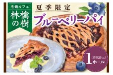 【期間限定】カフェの大人気メニューをご自宅で！自家製ブルーベリーパイ  ブルーベリーパイ  林檎の樹 老舗カフェ ブルーベリー ホールケーキ ケーキ スイーツ お菓子 菓子 洋菓子 ギフト 贈答用 お取り寄せ お祝い 手土産 お歳暮 お中元 熊本 阿蘇 南小国町 送料無料