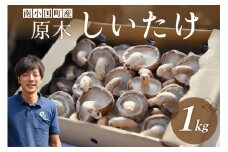 【阿蘇・南小国町産】極上の香りを放つ希少な 原木しいたけ 1kg 南小国産 原木しいたけ 極上 きのこ キノコ 椎茸 しいたけ シイタケ 生 野菜 極上 高級 ギフト 贈答用 熊本 阿蘇 南小国町 送料無料