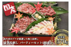 【国産】豪華馬刺し パーティーセット 4種盛り 熊本 馬刺し 4種 570g 盛合わせ 切れてる 特上 霜降り 上赤身 タテガミ フタエゴ 詰め合わせ セット 馬肉 馬 生食用 豪華 贈答用 ギフト お中元 お歳暮 阿蘇 南小国町 送料無料