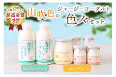 黒川温泉発 山吹色のジャージーヨーグルト 色々セット【FOODEX JAPAN 2018 金賞】 3種 ジャージー牛乳 ヨーグルト 詰め合わせ セット 飲むヨーグルト プレーンヨーグルト ざらめ 乳製品 飲料 健康 腸活 免疫力アップ 乳酸菌 ご当地 ギフト 贈答用 山のいぶき 熊本 阿蘇 南小国町 送料無料