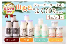 黒川温泉発 山吹色のジャージーヨーグルト よくばりセット【FOODEX JAPAN 最高金賞】 4種 ジャージー牛乳 飲むヨーグルト 牛乳 カフェオレ ヨーグルト プレーンヨーグルト 詰め合わせ アソート セット 乳製品 飲料 健康 腸活 免疫力アップ 乳酸菌 ご当地牛乳グランプリ 最高金賞 ご当地 ギフト 贈答用 山のいぶき 熊本 阿蘇 南小国町 送料無料