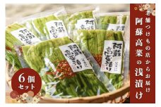 【黒川温泉発】阿蘇高菜の浅漬け（6個入） 阿蘇高菜 浅漬け 160g 6個 高菜 漬物 高菜漬け 高菜漬物 お取り寄せ ギフト 贈答用 黒川温泉 九州 熊本 阿蘇 南小国町 送料無料
