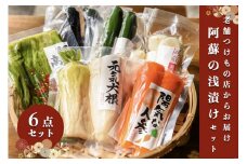 【黒川温泉発】阿蘇の浅漬け ～高菜セット～  浅漬け バラエティ セット 6種 大根 胡瓜 きゅうり 茄子 ナス 長芋 人参 阿蘇高菜 高菜漬け 高菜 漬物 高菜漬物 お取り寄せ ギフト 贈答用 黒川温泉 九州 熊本 阿蘇 南小国町 送料無料