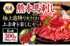 【国産】熊本馬刺し 上赤身+大トロ 300g 国産 熊本 馬刺し 馬肉 馬 上赤身 大トロ 赤身 霜降り 専用醤油 肉刺し ギフト 贈答用 阿蘇 南小国町 送料無料
