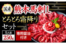 【国産】熊本馬刺し 霜降り 中トロ 250g 国産 熊本 馬刺し 馬 馬肉 馬刺 肉刺し 醤油 贈答用 ギフト 熊本 阿蘇 南小国町 送料無料