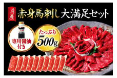 【国産】赤身馬刺し大満足セット 500g 10人前 国産 赤身 馬刺し 大満足セット 馬肉 馬 生食用 馬刺 肉刺し ヘルシー ギフト 贈答用 熊本 阿蘇 南小国町 送料無料