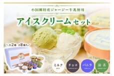 【小国郷特産ジャージー牛乳を使用！】アイスクリームセット(大2個・小8個入り)  阿蘇 小国郷特産 ジャージー牛乳 アイスクリーム セット 10個 480ml 130ml バニラ 抹茶 チョコ ミルク  氷菓 アイス 詰め合わせ ギフト 贈答用 お取り寄せ 熊本 南小国町 送料無料