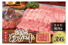 【くまもとあか牛】熊本県産 褐毛和牛 カルビ 焼肉用 300g くまもとあか牛 あか牛 肉 牛 牛肉 国産牛 バーベキュー 焼肉 熊本 阿蘇 南小国 南小国町 送料無料