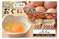 【南小国町産】平飼い養鶏で育った「おぐにん卵」 64個（60個+割れ補償4個）