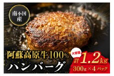  南小国産 阿蘇高原牛 牛100% ハンバーグ 1.2kg 贅沢 牛 牛肉 国産牛 ハンバーグ ハンバーグステーキ 150g 8個 小分け 熊本県産 国産 贈答用 ギフト 熊本 阿蘇 南小国町 送料無料