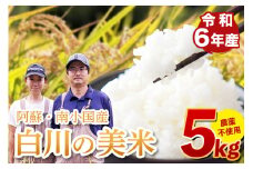 令和６年産 白川の美米 ５kg 令和6年産 南小国産 玄米 白米 3分づき 5分づき 7分づき 森のくまさん 精米 米 お米 ご飯 ごはん 無農薬 農薬不使用 自然栽培 産地直送 熊本 南小国 送料無料