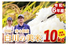 令和６年産 白川の美米 １０kg 令和6年産 南小国産 玄米 白米 3分づき 5分づき 7分づき 森のくまさん 精米 米 5kg 2袋 お米 ご飯 ごはん 無農薬 農薬不使用 自然栽培 産地直送 熊本 南小国 送料無料