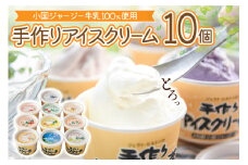 【ヒルトンビック】地元で愛され続けて30年以上！阿蘇小国ジャージー牛乳100%使用 ジェラトヒルトンの手作りアイスクリー夢A（10種×各1個）