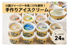【ヒルトンビック】地元で愛され続けて30年以上！阿蘇小国ジャージー牛乳100%使用 ジェラトヒルトンの手作りアイスクリー夢B（12種×各2個）