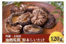 【地熱の里 坂本農園】阿蘇 熊本 小国郷 小国産 原木しいたけ 乾燥しいたけ 椎茸 ドライ 地熱乾燥 わいた温泉郷 SDGｓ 常温保管 30g 4袋 計120g ご自宅用 贈り物 プレゼント