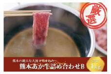 【矢野畜産】詰め合わせBセット 産地直送 くまもと 国産 熊本 阿蘇 和牛 あか牛 褐毛和種 あかげわしゅ 赤身 旨み凝縮 切り落とし 500g すき焼き しゃぶしゃぶ 500g 計1kg 矢野畜産 にくやの 老舗 おうちごはん おうち時間 通販 贈答 ギフト 阿蘇の自然の宝物