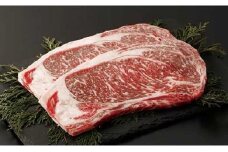 【矢野畜産】産地直送 くまもと 国産 熊本 阿蘇 和牛 あか牛 褐毛和種 あかげわしゅ ロースステーキ 400g 赤身 サシ プレミアムハンバーグ 150g 5個 750g 矢野畜産 にくやの 老舗 おうちごはん おうち時間 通販 贈答 ギフト 阿蘇の自然の宝物