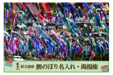 【杖立温泉】先行予約 令和8年度 受付開始 熊本 阿蘇 杖立温泉 鯉のぼり祭 鯉のぼり 名入れ お子様 お孫様 端午の節句 特別な贈り物 年に一度 期間限定 イベント 映えスポット（杖立温泉鯉のぼり祭）