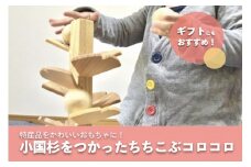 【小国町森林組合】阿蘇小国杉 小国杉 天然木 木製 トイ おもちゃ 木のおもちゃ お子様 お孫様 誕生祝 贈り物 ギフト プレゼント 大イチョウ ちちこぶコロコロ 阿蘇小国杉のくらし