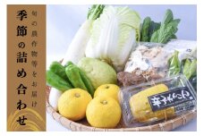【豊作市場】野菜セット 加工品セット 店長おすすめ おまかせ 5～7種 阿蘇 小国 杖立温泉 産地直送 国産 辛子れんこん 贈り物 贈答 ギフト ご自宅用