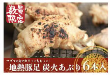 【小国のゆめ】農福連携 阿蘇 熊本 小国郷 小国産 国産 豚足 地熱 蒸し料理 炭火 わいた温泉郷 天空の豆畑 SDGs 100g 食べきり ハーフサイズ 6本 600g ご自宅用 贈り物 プレゼント