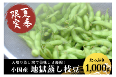 【地熱の里 坂本農園】先行予約 夏季限定・わいたの地熱で蒸した地獄蒸し枝豆 1kg