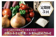 【定期便3回】阿蘇小国産・旬の野菜とお米5kgの詰め合わせ