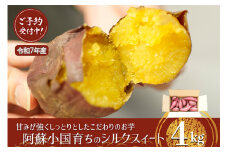 【下巣畑農産】先行予約 令和7年産 熟成 シルクスィート さつま芋 唐芋 長期貯蔵 産地直送 まとめ買い 九州産 熊本産 小国産 地場産 スイーツ 蜜芋 4kg 贈答 ご家庭用 焼き芋 スィートポテト 高糖度 GAP認証 6次産業認定 認定農家