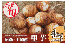 【先行予約】阿蘇小国町産  令和6年 農薬不使用・有機肥料使用の里芋4kg