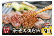 【桜屋】熊本と畜 馬肉 焼肉用 500g カット済 焼くだけ簡単 熊本 阿蘇 熊本 本場の味 熊本の味 肉感 旨み ジューシー 老舗専門店 馬刺しの桜屋 ギフト 贈答用 記念日 冷凍