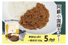 【学びやの里】阿蘇 熊本 小国郷 豚肉 町内製造 ドライカレー レトルト スパイシー 常温保管 120g 5個 計600g 専用箱入り ギフト 贈答 プレゼント お米と相性バツグン