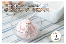【ヒルトンビック】地元で愛され続けて30年以上！阿蘇小国ジャージー牛乳100%使用 ジェラトヒルトンの手作りアイスクリー夢（いちご×2L）