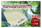 小国町観光商品券です。