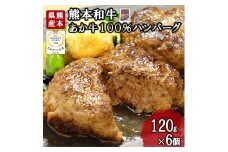 【三協畜産】熊本和牛 あか牛 熊本県産 肥育 加工品 阿蘇 熊本 褐毛和種 褐牛 和牛 あか牛100% 牛肉 ハンバーグ 120g 6個 計720g 惣菜 おかず ご飯のお供 熊本名物 ご家庭用 ギフト 贈答用  小国町ふるさと納税