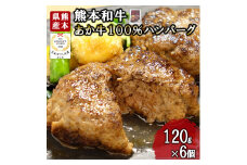 【三協畜産】熊本和牛 あか牛 熊本県産 肥育 加工品 阿蘇 熊本 褐毛和種 褐牛 和牛 あか牛100% 牛肉 ハンバーグ 120g 6個 計720g 惣菜 おかず ご飯のお供 熊本名物 ご家庭用 ギフト 贈答用  小国町ふるさと納税