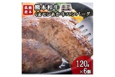 【三協畜産】熊本和牛 あか牛 熊本県産 肥育 加工品 阿蘇 熊本 褐毛和種 褐牛 和牛 あか牛100% 牛肉 ハンバーグ 120g 6個 計720g 惣菜 おかず ご飯のお供 熊本名物 ご家庭用 ギフト 贈答用  小国町ふるさと納税