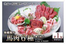 【令和7年12月出荷分】レビューキャンペーン 対象品 馬肉 盛り合わせ 6種 1kg 1000g 特許製法 氷温熟成 低温調理 レア 赤身 フタエゴ ハツ サガリ ユッケ コウネ 小分け 焼くだけ簡単 専用醤油 タレ付 真空パック 熊本 小国町