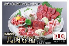【令和8年3月出荷分】厳選 馬肉 盛り合わせ 6種 1000g 1kg 赤身 フタエゴ ハツ サガリ ユッケ コウネ 特許製法 氷温熟成 低温調理 レア 小分け 焼くだけ簡単 専用醤油 タレ付 真空パック レビューキャンペーン 対象品 熊本 小国町