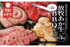 阿蘇うぶやま村の放牧あか牛BBQセット《60日以内に出荷予定(土日祝除く)》