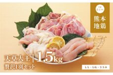【ふるさと納税】天草大王 贅沢1羽 セット 計1.5kg 【配送不可地域：離島】あそ大王ファーム株式会社 《60日以内に出荷予定(土日祝除く)》熊本 産山 鶏 鶏肉 もも むね ささみ