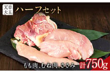 【ふるさと納税】天草大王 もも・むね・ささみセット 750g 【配送不可地域：離島】 あそ大王ファーム株式会社《60日以内に出荷予定(土日祝除く)》熊本 産山 鶏 鶏肉 セット