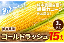 《先行受付開始》産地直送 とうもろこし 朝採れ スイートコーン ゴールドラッシュ 15本セット 特大 熊本 阿蘇 産山村トウモロコシ ギフト 今が旬 コーン 旬 お取り寄せ 人気 大人気 贈答《2025年7月中旬-8月下旬出荷》